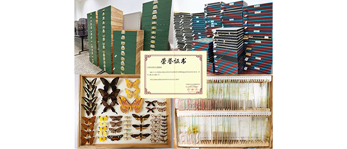 庐山植物园向国家动物标本资源库赠送昆虫标本