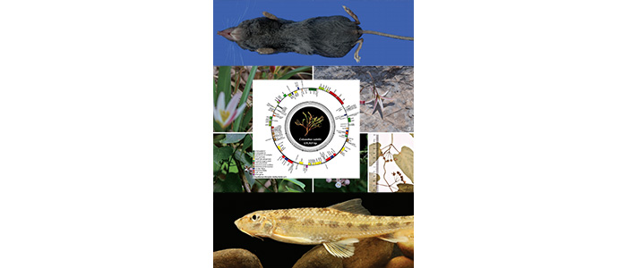 “大别山生物多样性综合科学考察”项目工作进展（三）