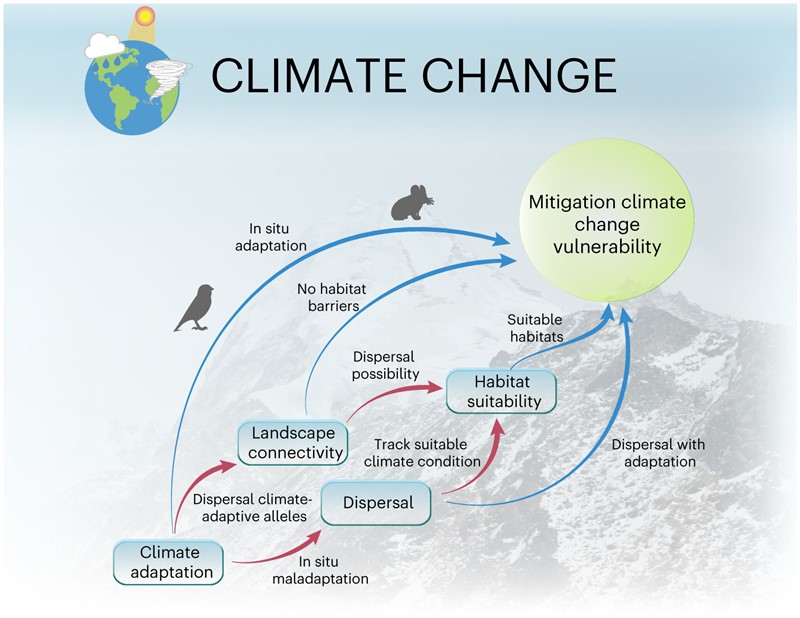 图1. 整合气候适应、迁徙可能性、生态位适宜性和景观连通性的气候变化风险评估框架