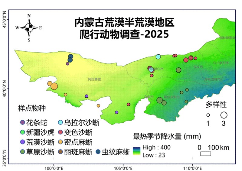 图3 内蒙古高原荒漠半荒漠地区爬行动物分布情况（2025）